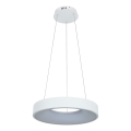 Brilagi - Lámpara colgante LED regulable suspendida por cable FALCON II LED/67W/230V 3000-6500K Ø 40 cm blanca + mando a distancia