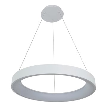 Brilagi - Lámpara colgante LED regulable suspendida por cable FALCON II LED/99W/230V 3000-6500K Ø 60 cm blanca + mando a distancia