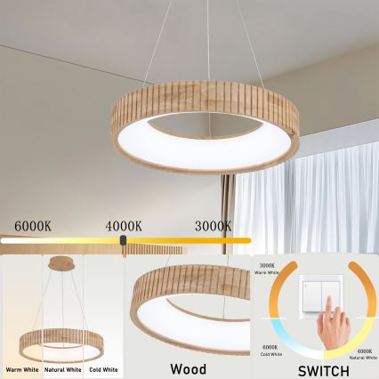 Brilagi - Lámpara colgante LED con cable FALCON WOOD MODERN LED/30W/230V 3000/4000/6000K Ø 45 cm madera