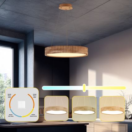 Brilagi - Lámpara colgante LED con cable FALCON WOOD MODERN LED/30W/230V 3000/4000/6000K Ø 45 cm madera