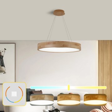 Brilagi - Lámpara colgante LED suspendida por cable FALCON WOOD, 40 W, 230 V, 3000/4000/6000 K, Ø 60 cm, madera