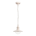 Brilagi - Lámpara colgante para exterior MOLDE 1xE27/60W IP44 blanco/pátina
