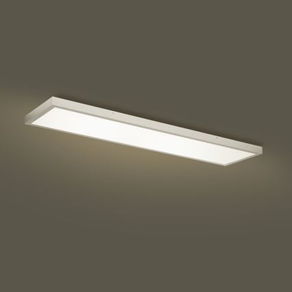 Brilagi - Luz de techo LED regulable para baño FRAME SMART LED/50W/230V 120x30 cm 3000-6000K IP44 plata + control remoto