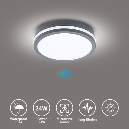 Brilagi - Lámpara de exterior LED con sensor BENE LED/24W/230V diá. 26 cm antracita IP54