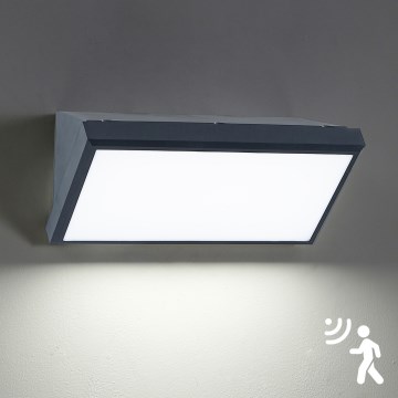 Brilagi - Lámpara de pared LED exterior con sensor TRIANGLE LED/20W/230V antracita IP65