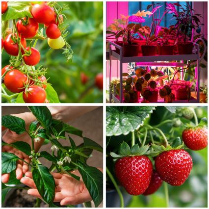 Brilagi - Lámpara de pie flexible LED regulable para el cultivo de plantas VITABLOOM 4xLED/7,5W/230V negro