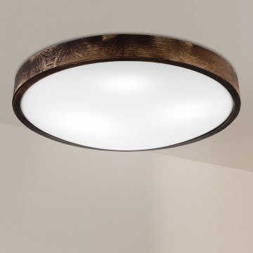 Brilagi - Lámpara de techo CARVALHO SLIM SMOKEY 3xE27/60W/230V roble Ø 47,5 cm