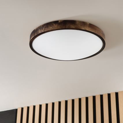Brilagi - Lámpara de techo CARVALHO SLIM SMOKEY 3xE27/60W/230V roble Ø 47,5 cm