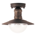 Brilagi - Lámpara de techo exterior MOLDE 1xE27/60W IP44 bronce/pátina