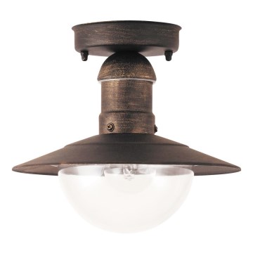 Brilagi - Lámpara de techo exterior MOLDE 1xE27/60W IP44 bronce/pátina