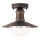 Brilagi - Lámpara de techo exterior MOLDE 1xE27/60W IP44 bronce/pátina