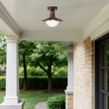 Brilagi - Lámpara de techo exterior MOLDE 1xE27/60W IP44 bronce/pátina