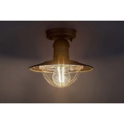 Brilagi - Lámpara de techo exterior MOLDE 1xE27/60W IP44 bronce/pátina