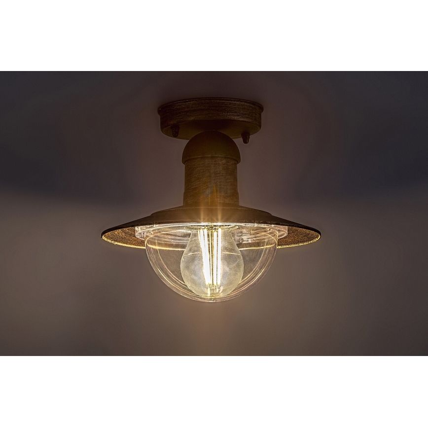 Brilagi - Lámpara de techo exterior MOLDE 1xE27/60W IP44 bronce/pátina