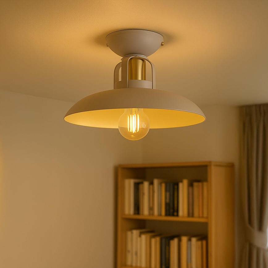 Brilagi - Lámpara de techo FLAMENGO 1xE27/60W/230V beige