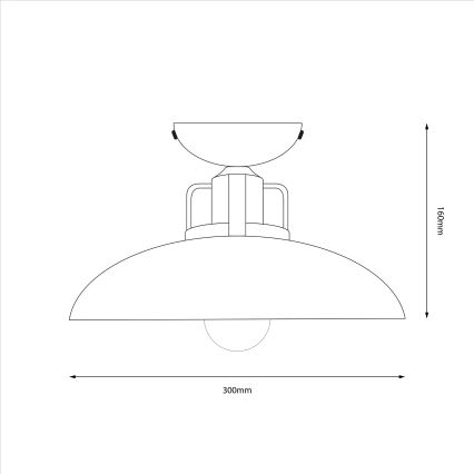 Brilagi - Lámpara de techo FLAMENGO 1xE27/60W/230V blanco