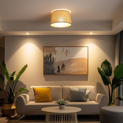 Brilagi - Lámpara de techo LED de superficie CERIA 1xE27/40W/230V Ø 35 cm beige