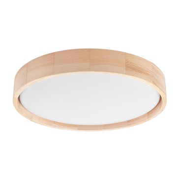 Brilagi - Lámpara de techo LED MANAROLA SIMPLE LED/24W/230V 3000K pino Ø 41 cm