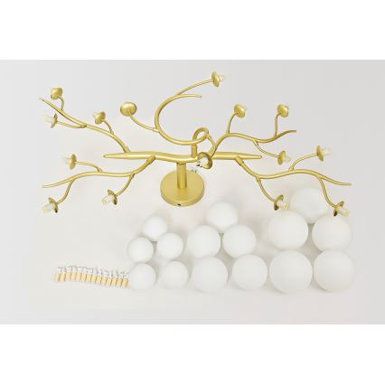 Brilagi - Lámpara de techo LED MISTEL 15xG9/3W/230V dorado/blanco