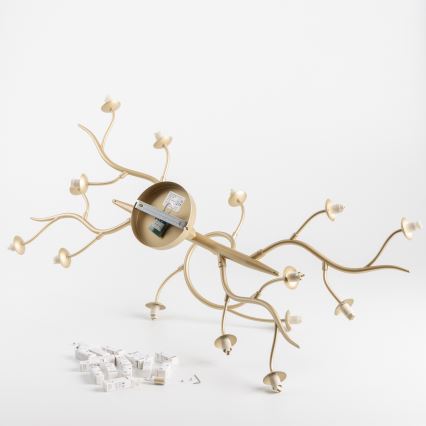 Brilagi - Lámpara de techo LED MISTEL 15xG9/3W/230V dorado/blanco