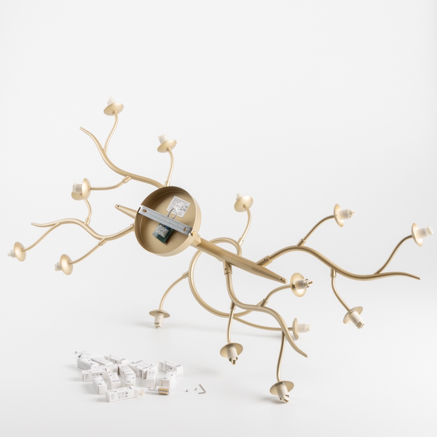 Brilagi - Lámpara de techo LED MISTEL 15xG9/3W/230V dorado/blanco