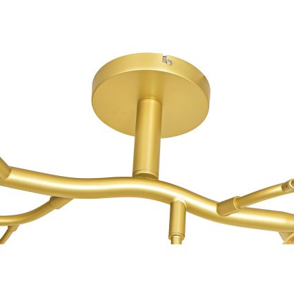 Brilagi - Lámpara de techo LED MISTEL 15xG9/3W/230V dorado
