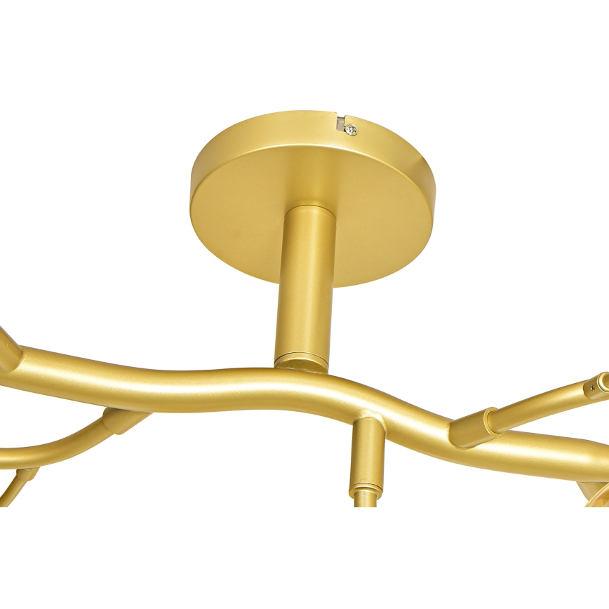 Brilagi - Lámpara de techo LED MISTEL 15xG9/3W/230V dorado