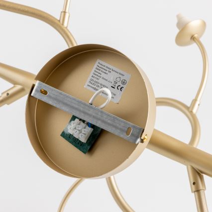 Brilagi - Lámpara de techo LED MISTEL 15xG9/3W/230V dorado