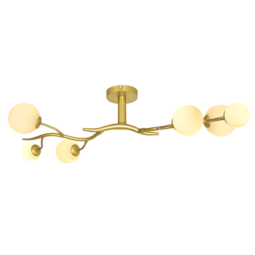Brilagi - Lámpara de techo LED MISTEL 6xG9/3W/230V dorado/blanco