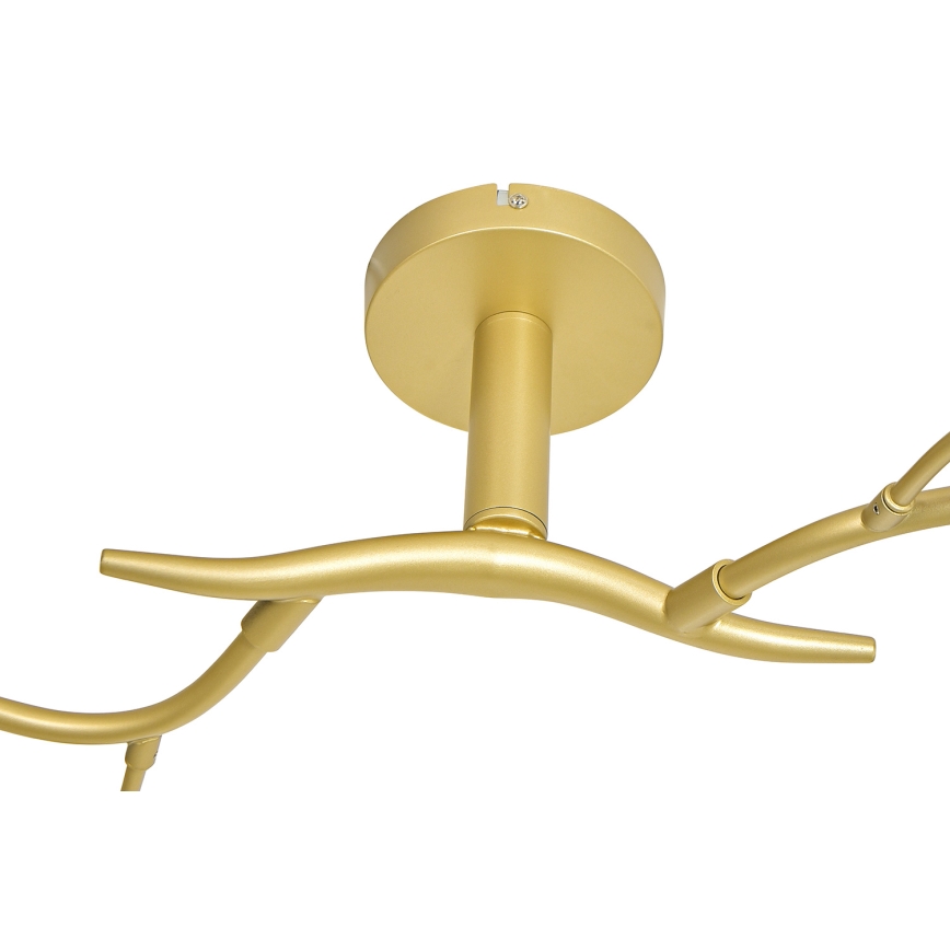 Brilagi - Lámpara de techo LED MISTEL 6xG9/3W/230V dorado/blanco