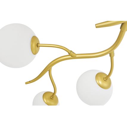 Brilagi - Lámpara de techo LED MISTEL 6xG9/3W/230V dorado/blanco