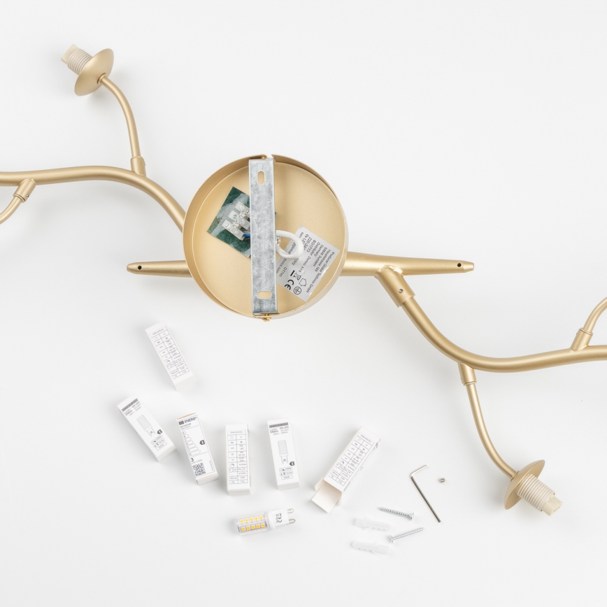 Brilagi - Lámpara de techo LED MISTEL 6xG9/3W/230V dorado/blanco