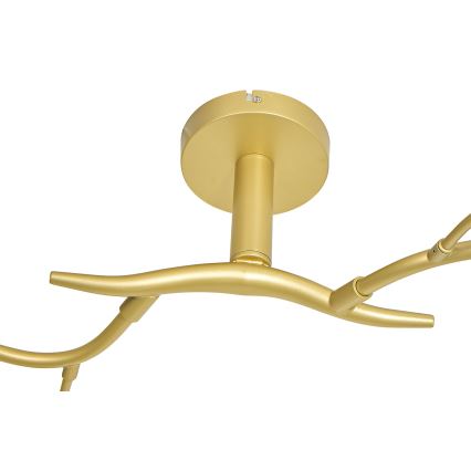 Brilagi - Lámpara de techo LED MISTEL 6xG9/3W/230V dorado