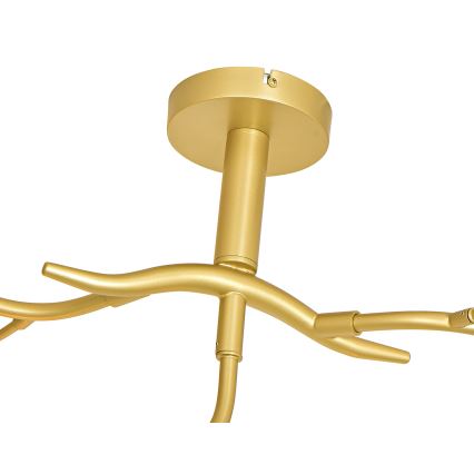 Brilagi - Lámpara de techo LED MISTEL 9xG9/3W/230V dorado