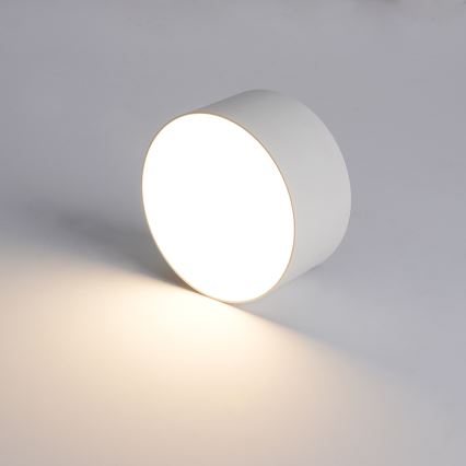 Brilagi - Lámpara de techo LED para baño FORIS LED/14W/230V Ø 12 cm blanca IP44