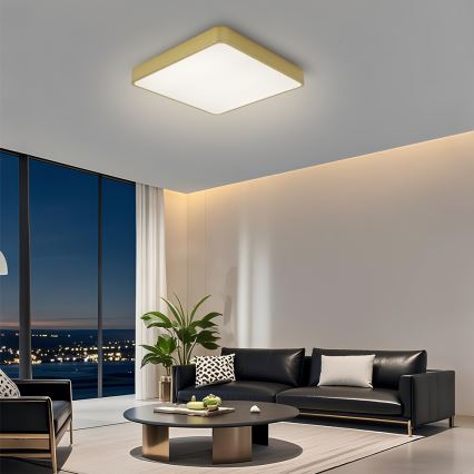 Brilagi - Lámpara de techo LED POOL/48W/230V 3000/4500/6000K 50x50 cm dorada