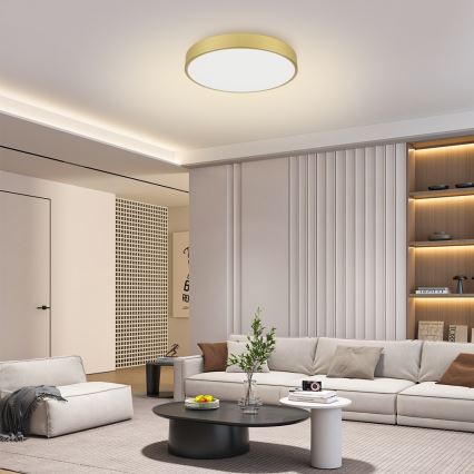 Brilagi - Lámpara de techo LED POOL LED/60W/230V 3000/4500/6000K diámetro 60 cm dorada