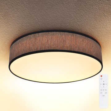 Brilagi - Lámpara de techo LED regulable ADELA LED/48W/230V 3000-6500K Ø 40 cm + mando a distancia