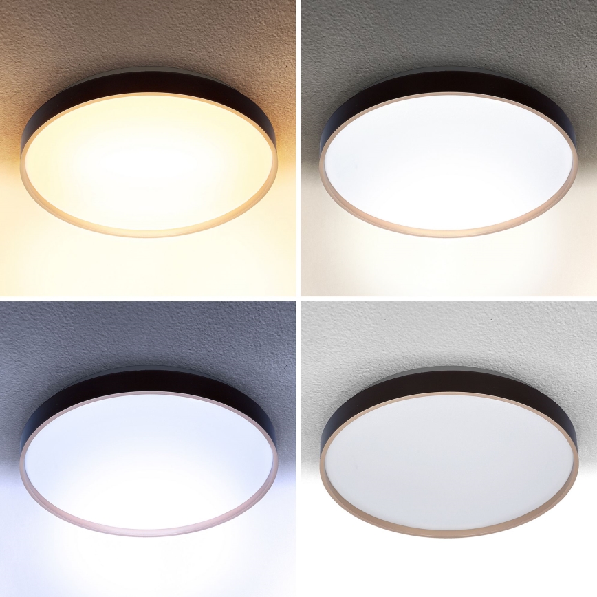 Brilagi - Lámpara de techo LED regulable CALA LED/48W/230V 3000-6500K Ø 38 cm + mando a distancia