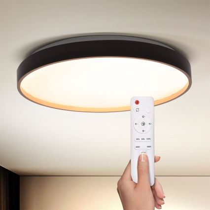 Brilagi - Lámpara de techo LED regulable CALA LED/48W/230V 3000-6500K Ø 38 cm + mando a distancia