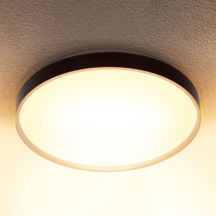 Brilagi - Lámpara de techo LED regulable CALA LED/48W/230V 3000-6500K Ø 38 cm + mando a distancia