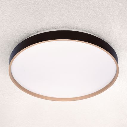 Brilagi - Lámpara de techo LED regulable CALA LED/48W/230V 3000-6500K Ø 38 cm + mando a distancia