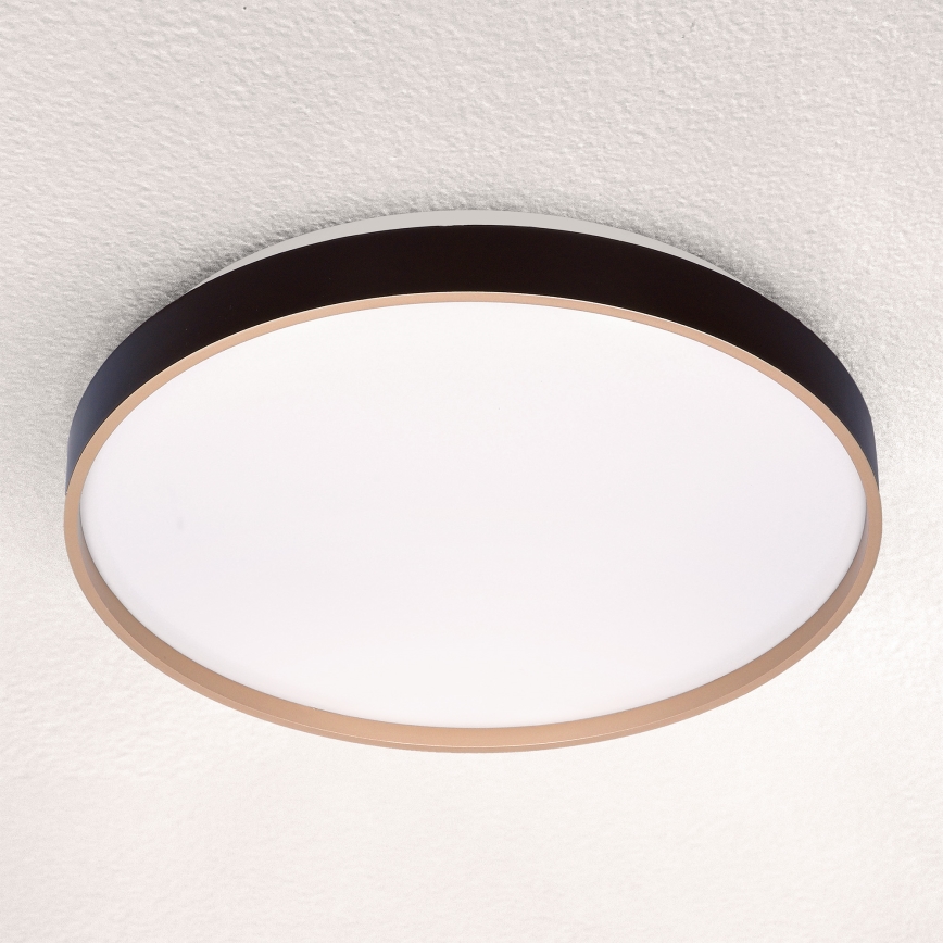 Brilagi - Lámpara de techo LED regulable CALA LED/48W/230V 3000-6500K Ø 38 cm + mando a distancia