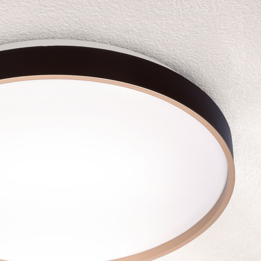 Brilagi - Lámpara de techo LED regulable CALA LED/48W/230V 3000-6500K Ø 38 cm + mando a distancia