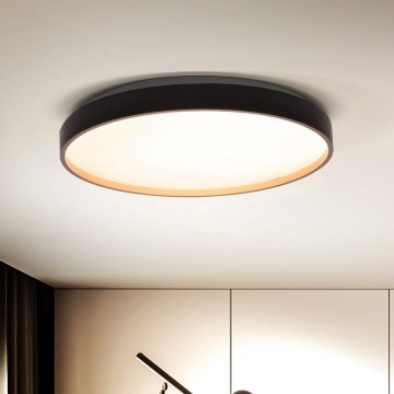 Brilagi - Lámpara de techo LED regulable CALA LED/48W/230V 3000-6500K Ø 38 cm + mando a distancia