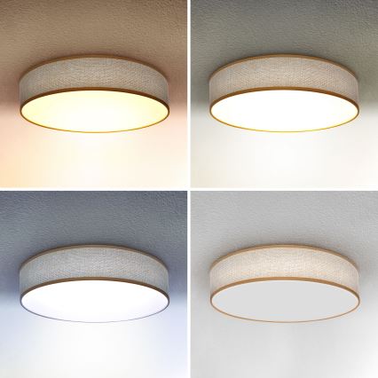 Brilagi - Lámpara de techo LED regulable CARMEN LED/48W/230V 3000-6500K Ø 40 cm + mando a distancia