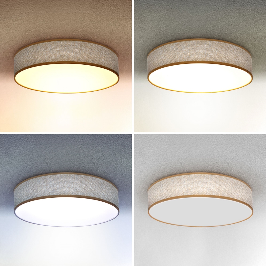Brilagi - Lámpara de techo LED regulable CARMEN LED/48W/230V 3000-6500K Ø 40 cm + mando a distancia
