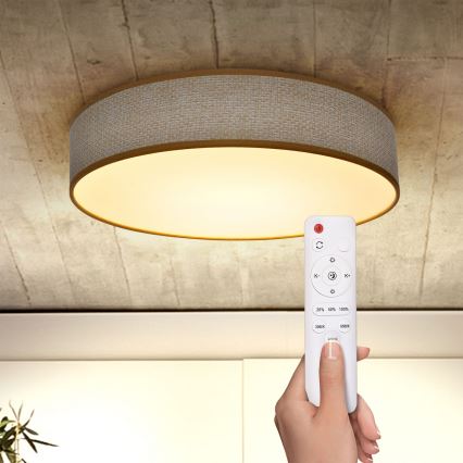 Brilagi - Lámpara de techo LED regulable CARMEN LED/48W/230V 3000-6500K Ø 40 cm + mando a distancia