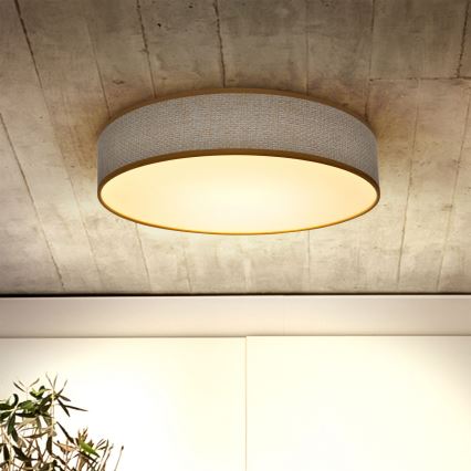 Brilagi - Lámpara de techo LED regulable CARMEN LED/48W/230V 3000-6500K Ø 40 cm + mando a distancia