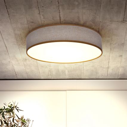 Brilagi - Lámpara de techo LED regulable CARMEN LED/48W/230V 3000-6500K Ø 40 cm + mando a distancia